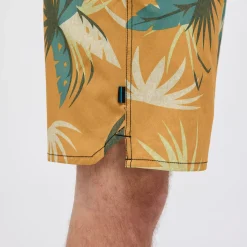 Stance Complex 2.0 Short Goldfade Online