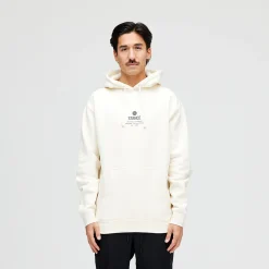 Stance Established Hoodie Bone Online